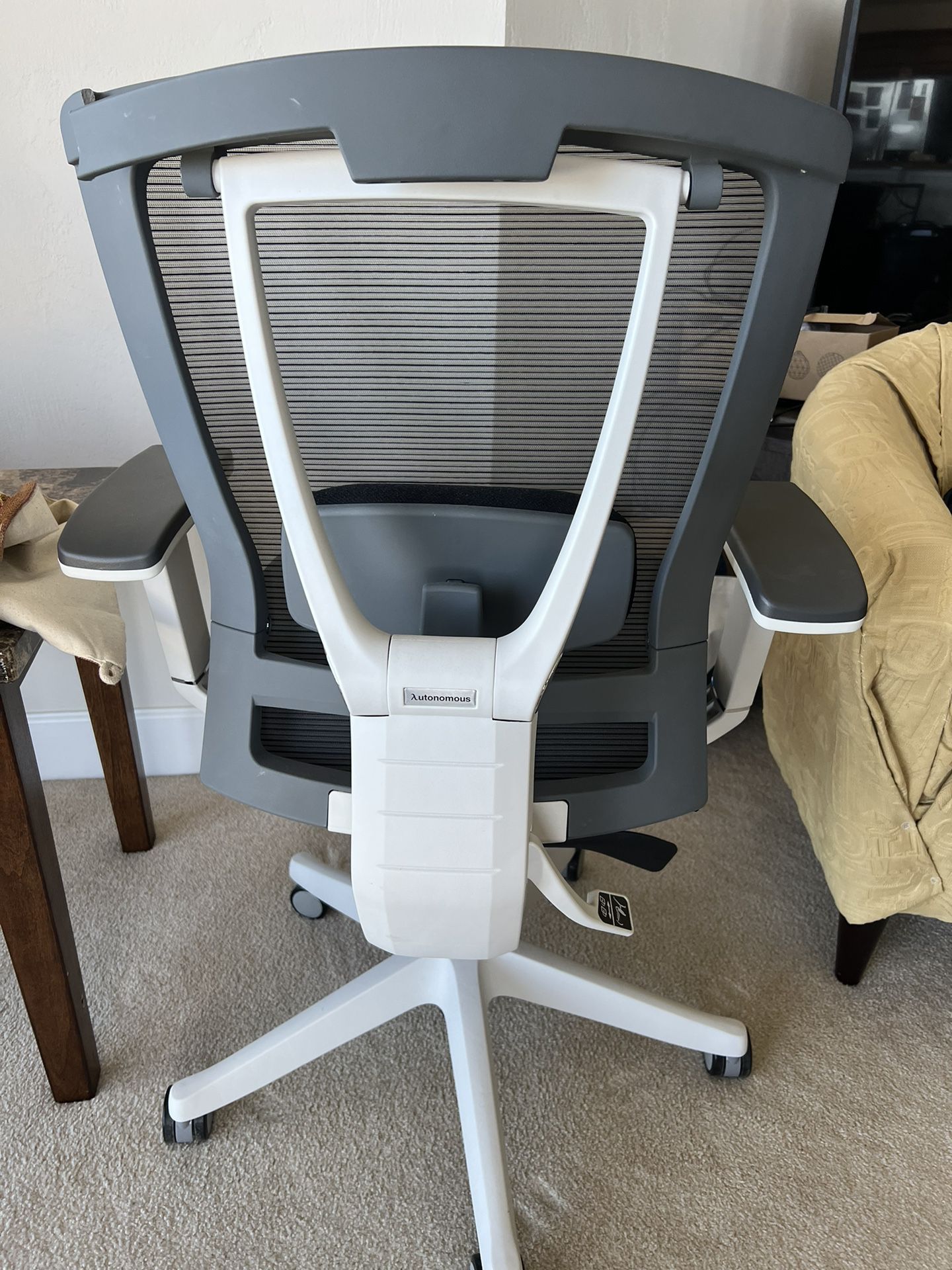 Computer/Desk Chair