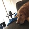 Jake