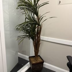 Three Fake Decor Plants