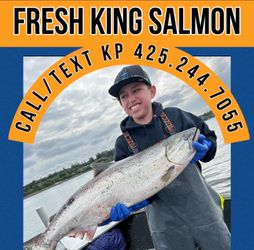 Fresh King Salmon