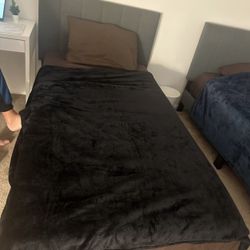 Twin Bed 
