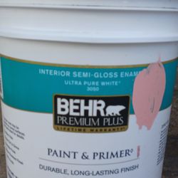 Behr Paint