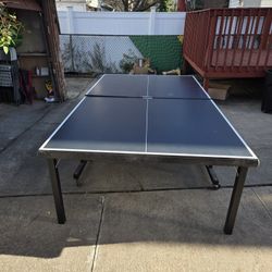 Ping Pong Table With Accessories 