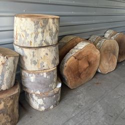California Sycamore Wood Rounds / Live Edge Slabs – Perfect for Tables, Stools, Decor 