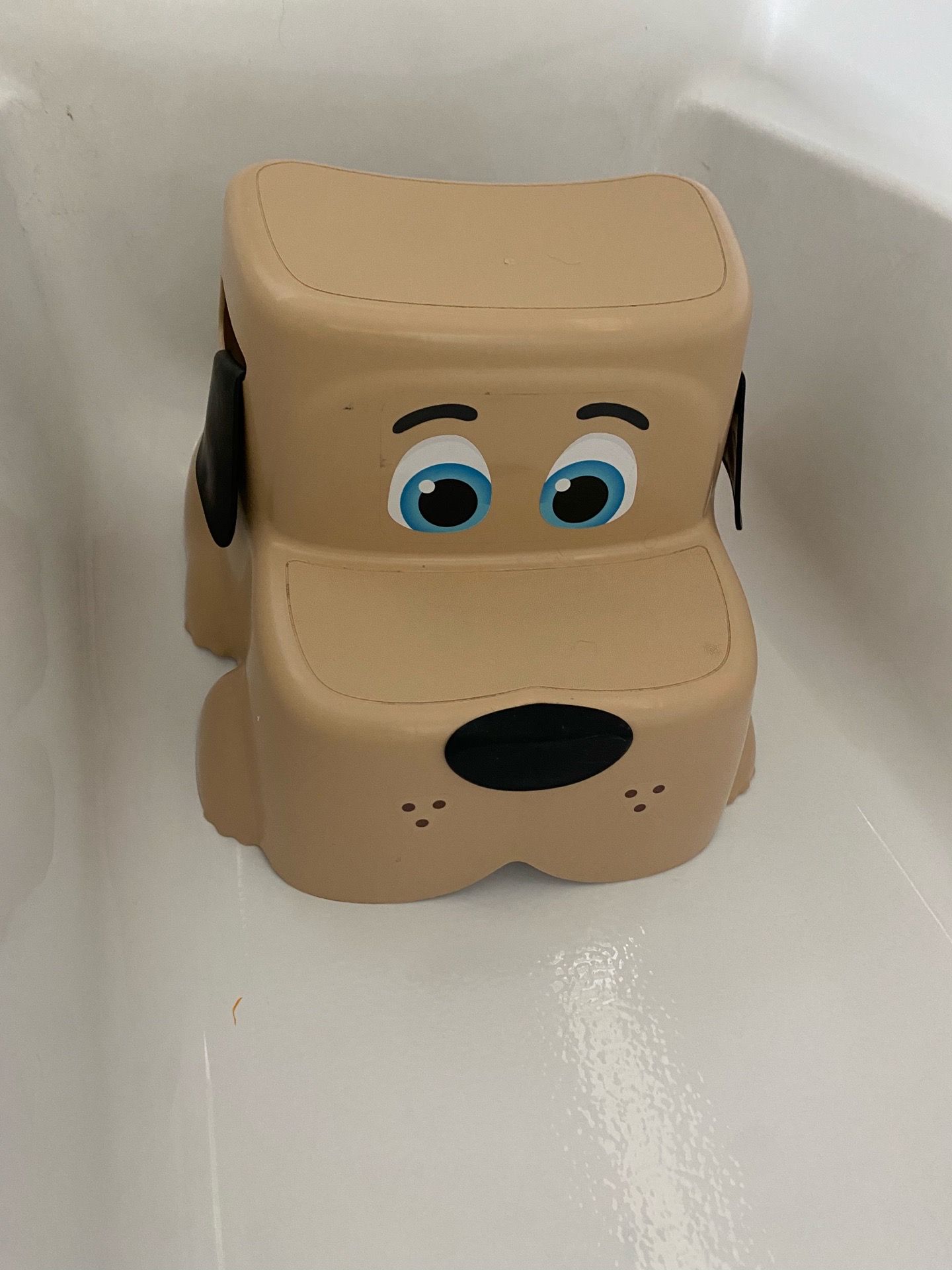 Kids 2 step stool