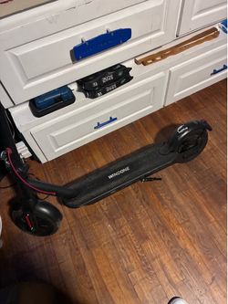 Windone adult scooter