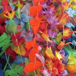Leis