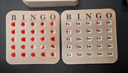 Bingo Cards (Shutter, Reusable) 25Pc