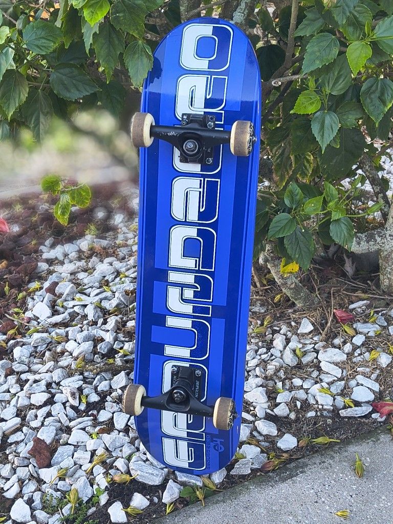 Ground Zero Skateboard (Complete)
