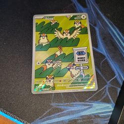 Pidgey 207/197 Obsidian Flames pokemon