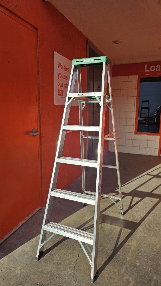 ladder (like New)
