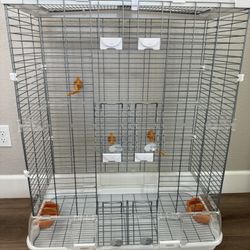 Bird Cage