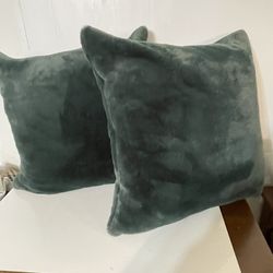 Two Beautiful Green Soft Pillows