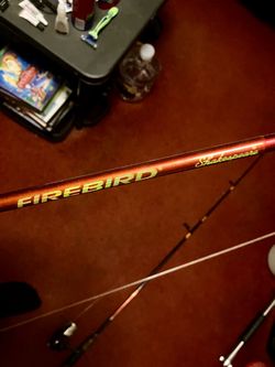 Shakespeare firebird rod and reel