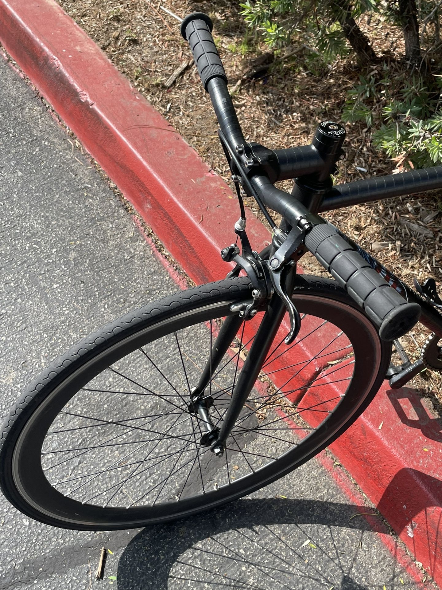 Fixie Bike Singlespeed