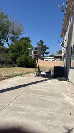 Basketball hoop 30 bucks