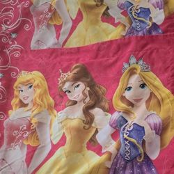 Disney Princess Pair Standard Pillow Shams Pinks Belle Aurora Princesses 
32st & Greenway Cash Firm 