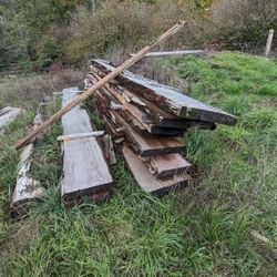 Live edge slabs! 