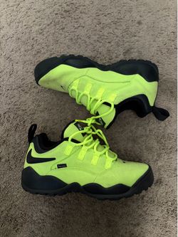 Nike SB x Supreme Darwin Low “Volt”