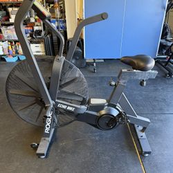 Rogue Echo Bike Stationary Bike Airdyne Air Dyne Performance Fan Bike 