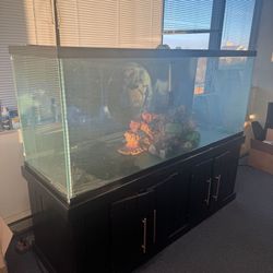 225 Gallon Fish Tank