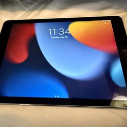 APPLE IPAD AIR 2 WIFI EXCELLENT CONDITION WITH NEW CASE