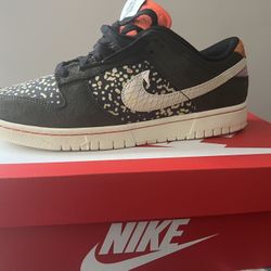 Nike Dunk Rainbow Trout 