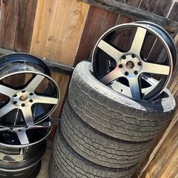 Rines 20 X 1
