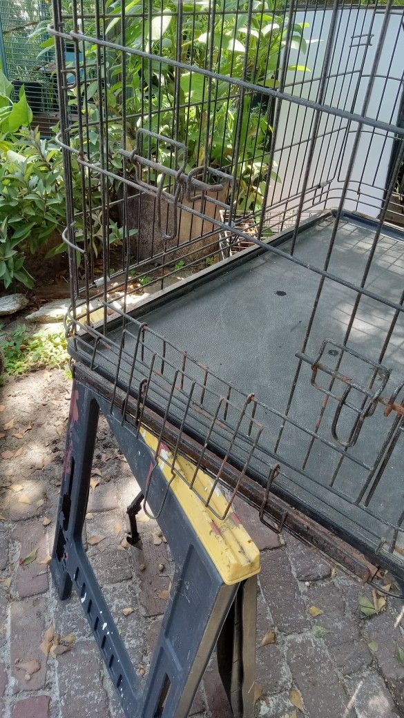 Animal Crete 3 Doors