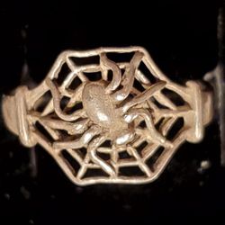 Sterling Silver Spider with Spiderweb Ring.