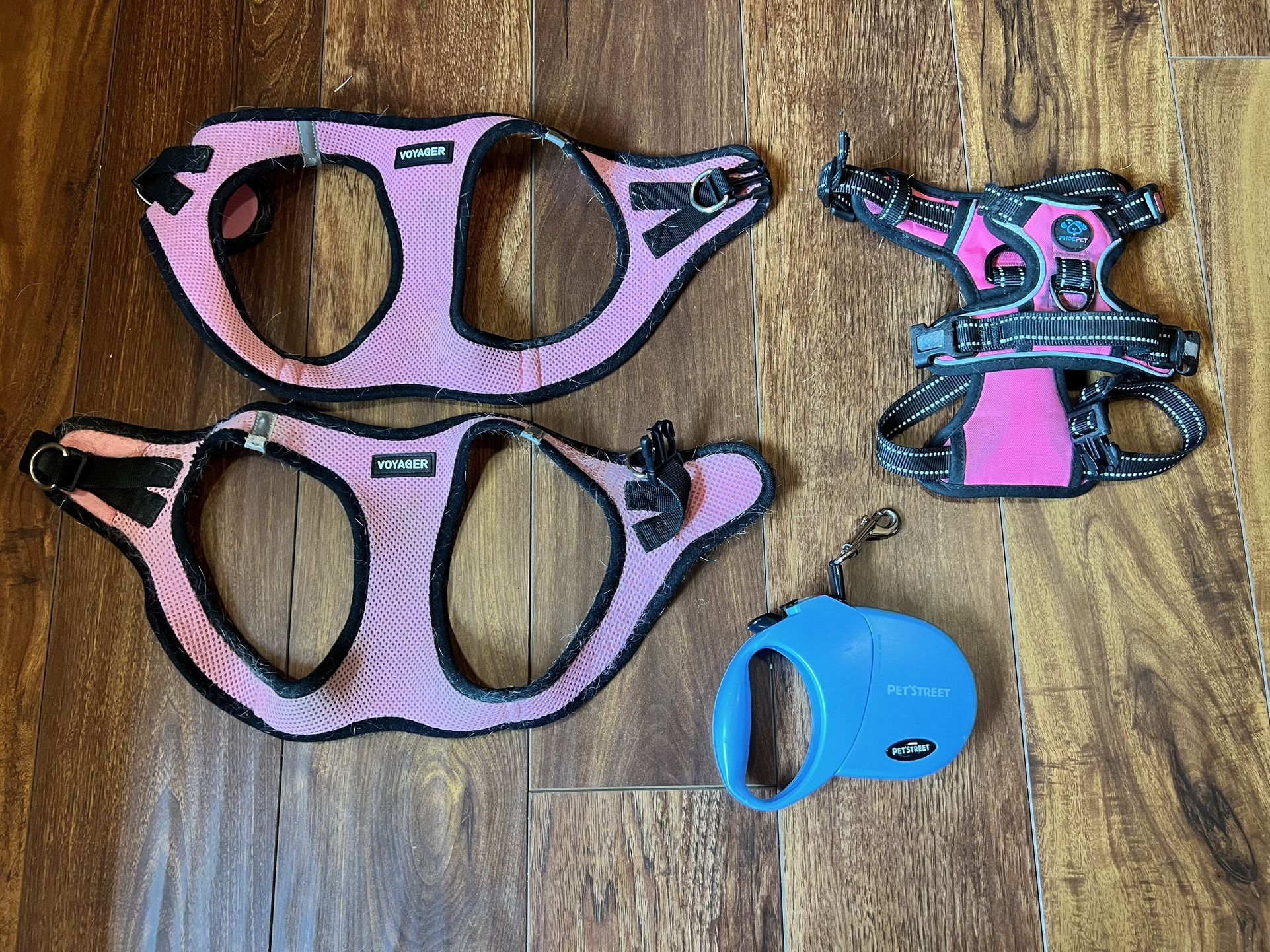 Dog Harnesses (3pc) and Retractable Leash