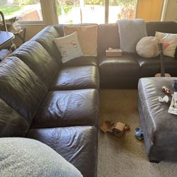 Free sectional 