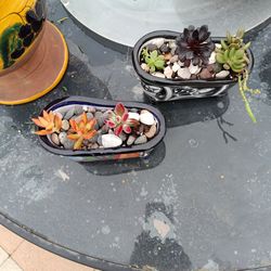 Small decorative pots w) succulents