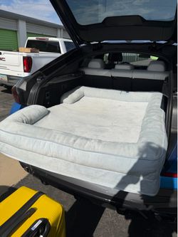 Large dog bed