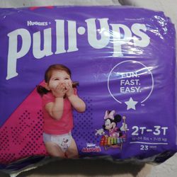 Pull Ups Size 2t-3t 23 Count Bag
