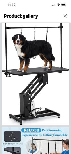 Hydraulic Dog Grooming Table with Overhead Bar