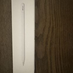 Apple Pencil (usb-c)