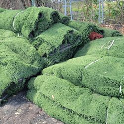 Recycled ♻️ Commercial Grade Baseball Turf In DAYTONA BEACH, FL