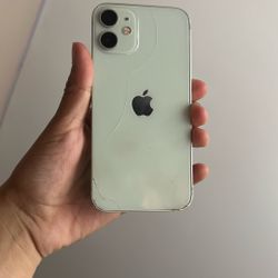 12 Mini