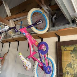 Girls 16” Bike 