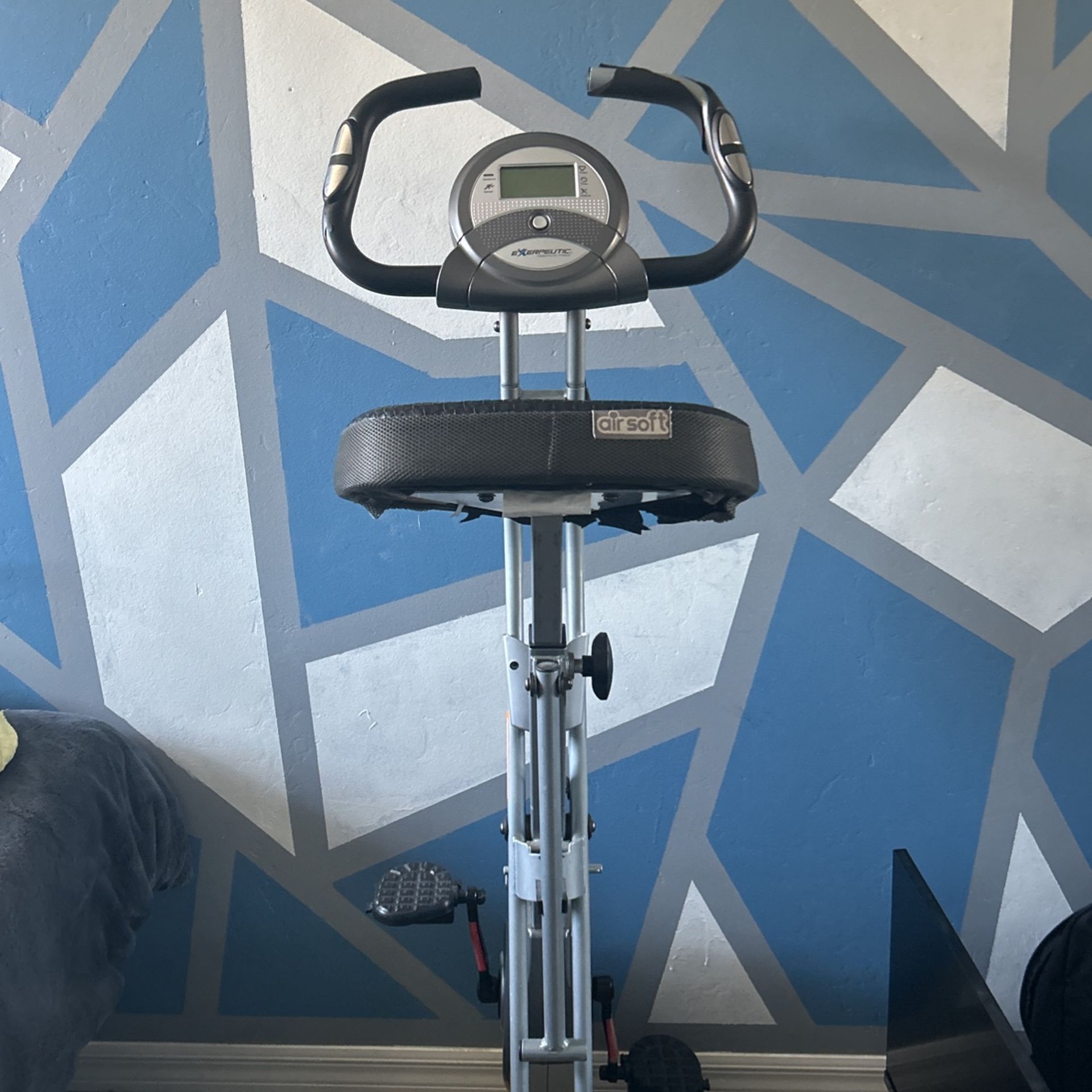 Costco Exercise Bike
