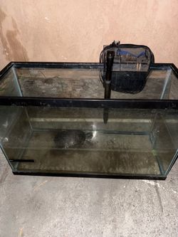 Pecera para peses de 40 galones