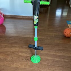 Pogo Stick