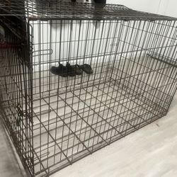 Huge Doge Cage 