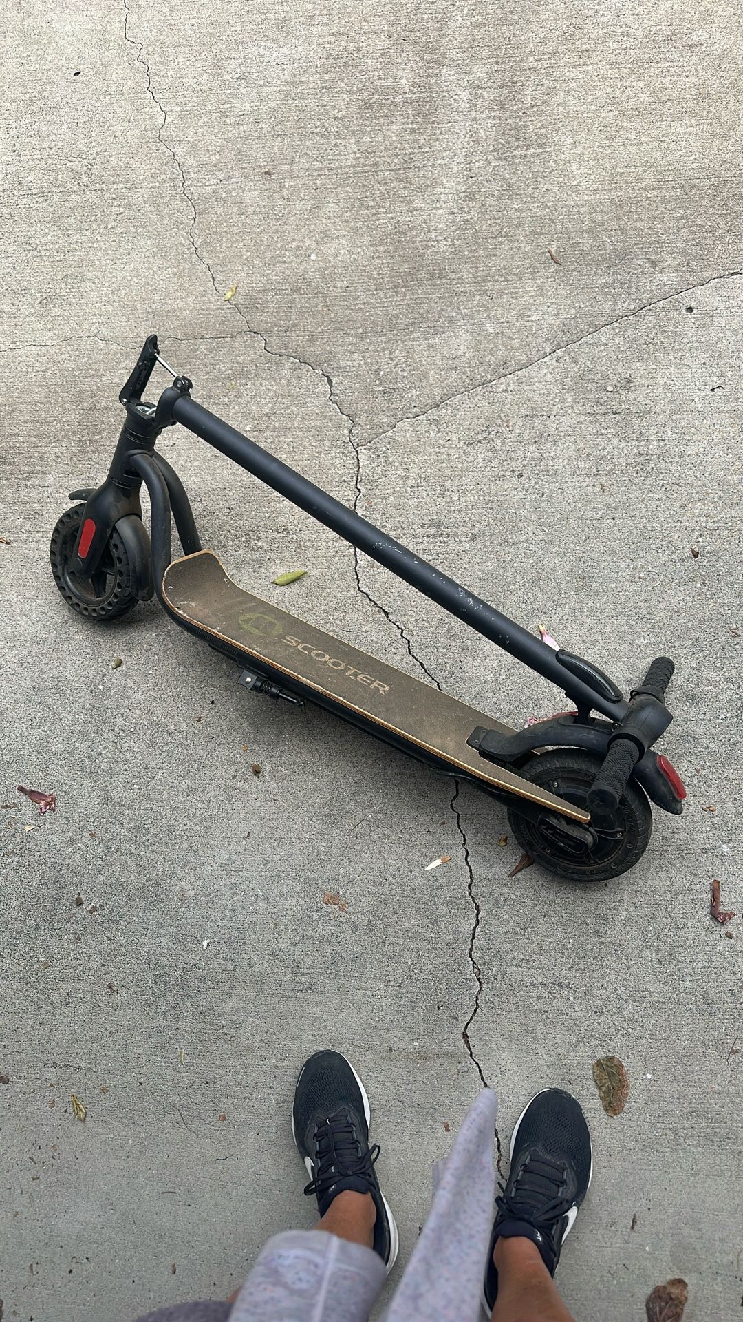 Scooter ( Adult Size)