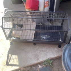 Guinea pig Cage and Ramp