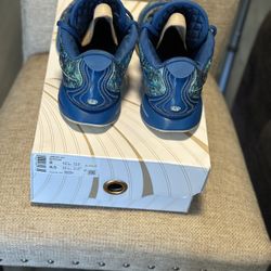 LeBron James Abalone Shoes . Size 8 In Men’s. 