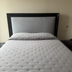 Queen Bed  Headboard and frame 