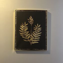 21” X 17” Gold Framed Leaf Print $20