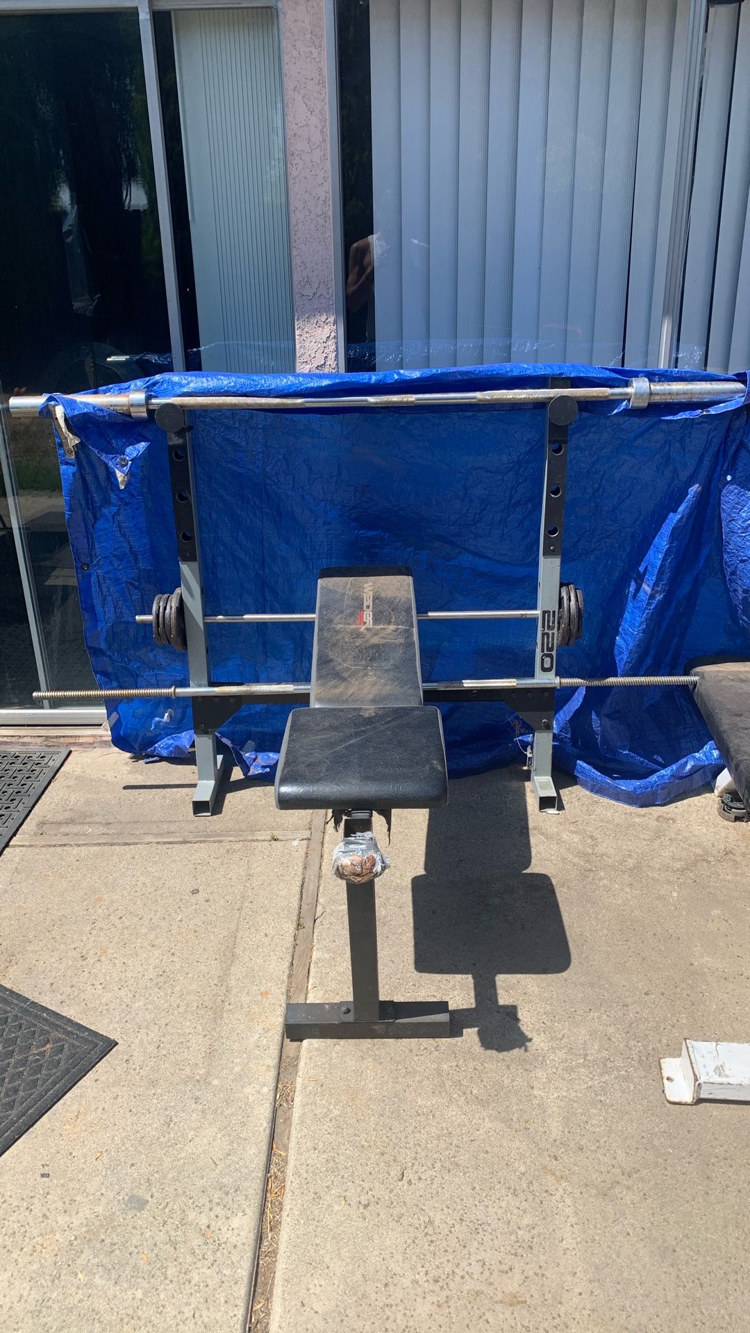 Weight Benches And Curl Bench